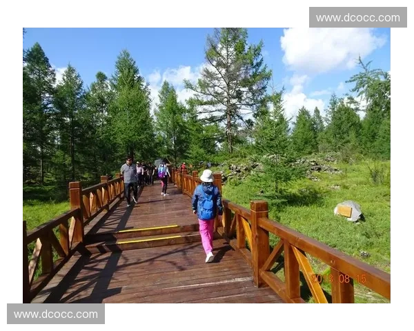 《Dota2小驴重生之路：从辅助到核心的逆袭之旅》